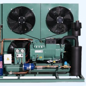 Open type unit Superior Cold Room Air Cooler Refrigeration with Bitzer Compressor Comprehensive Product Line for Wide Range of Applications Components