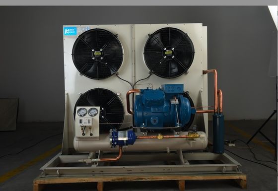 Frost Temp Monoblock Phòng lạnh Thiết bị ngưng tụ Hệ thống làm mát cho kho lạnh